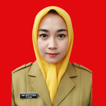 Ani Septiyana , S.Kom_