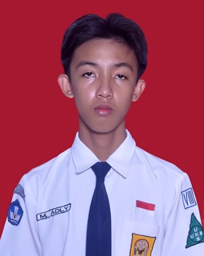 M. Adly